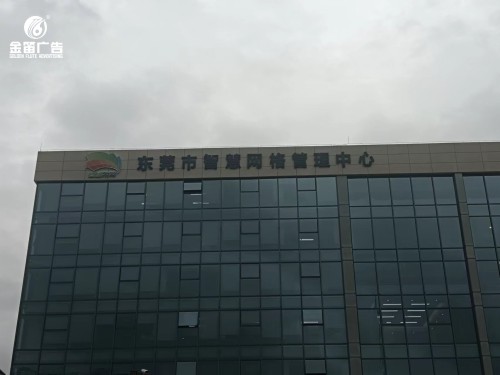东莞市智慧网格管理中心LED平面发光字制作厂家 